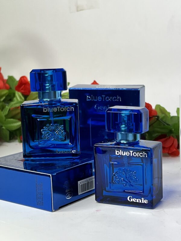 25ml blue torch