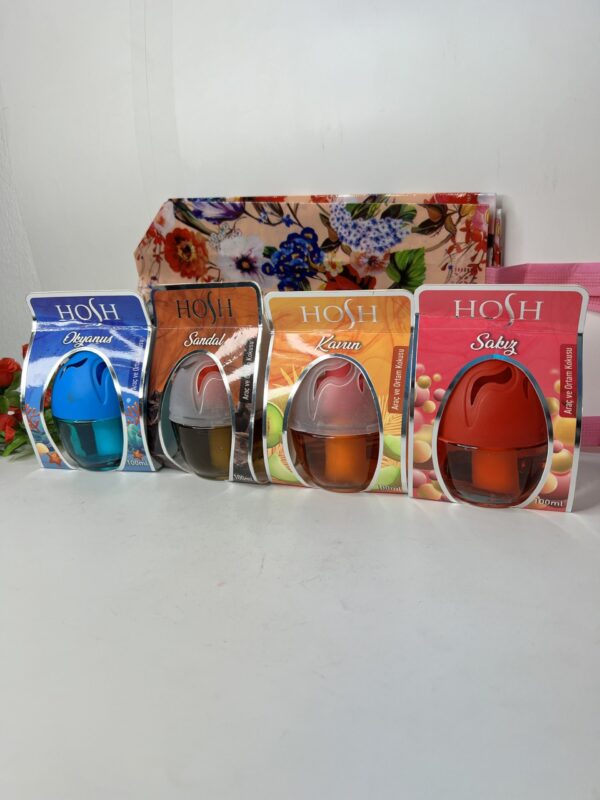 100ml Car Diffuser hosh