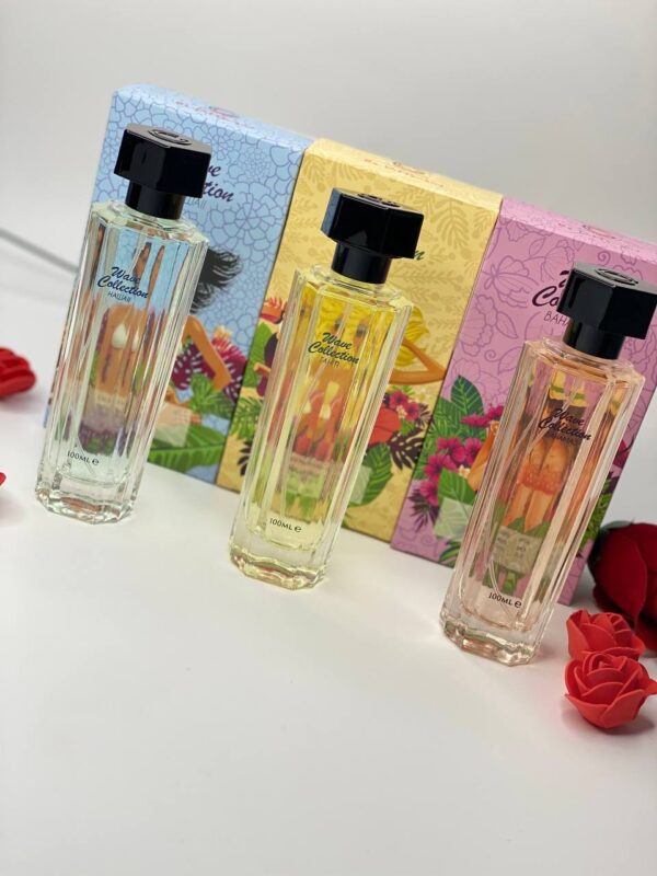 100ml Wave perfume