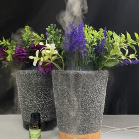 Diffuser - Flower Vase model