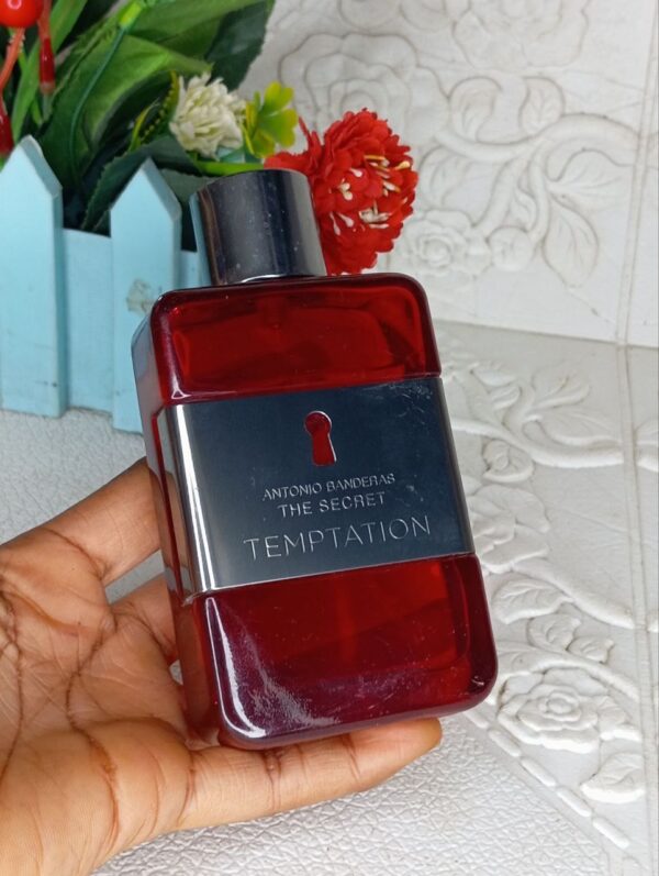 Antonio Banderas The Secret Temptation EDT 100ml | Unboxed
